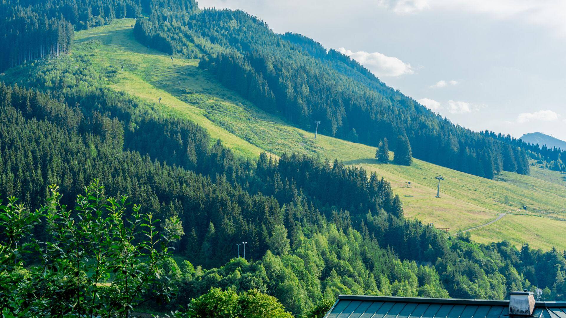 Weitläufiger Blick auf die grünen Berghänge mit Wald und Skipisten unter blauem Himmel.
