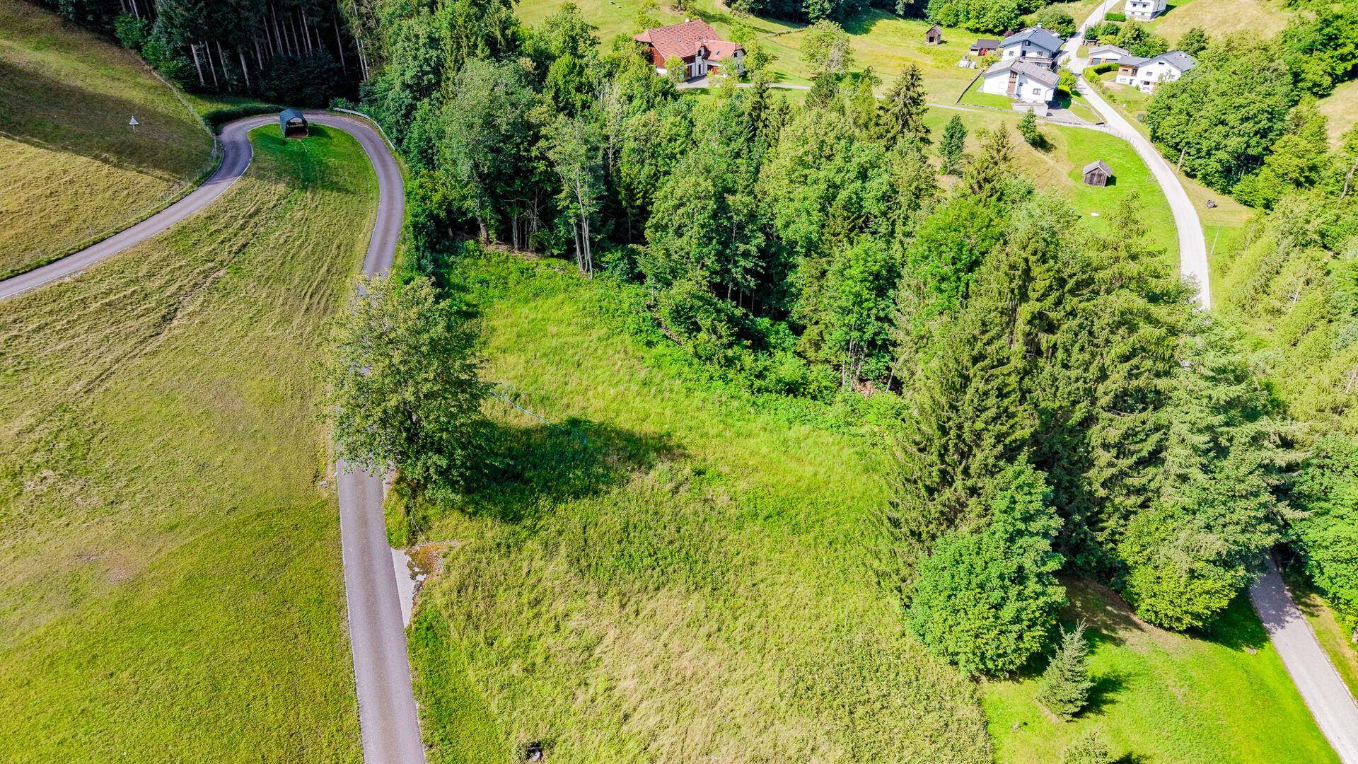Luftaufnahme eines grünen Grundstücks mit kurviger Straße und bewaldeter Hügellandschaft im Hintergrund.