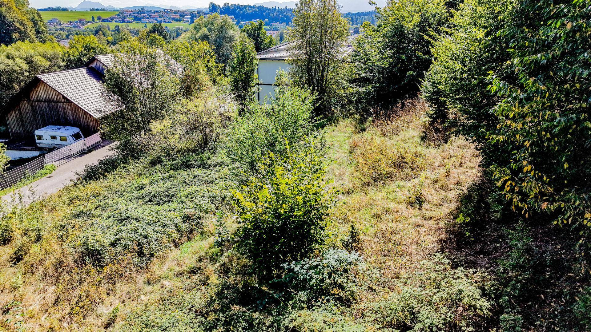 Blick auf ein naturbelassenes, bewachsenes Grundstück mit Bäumen und Sträuchern in ländlicher Umgebung.