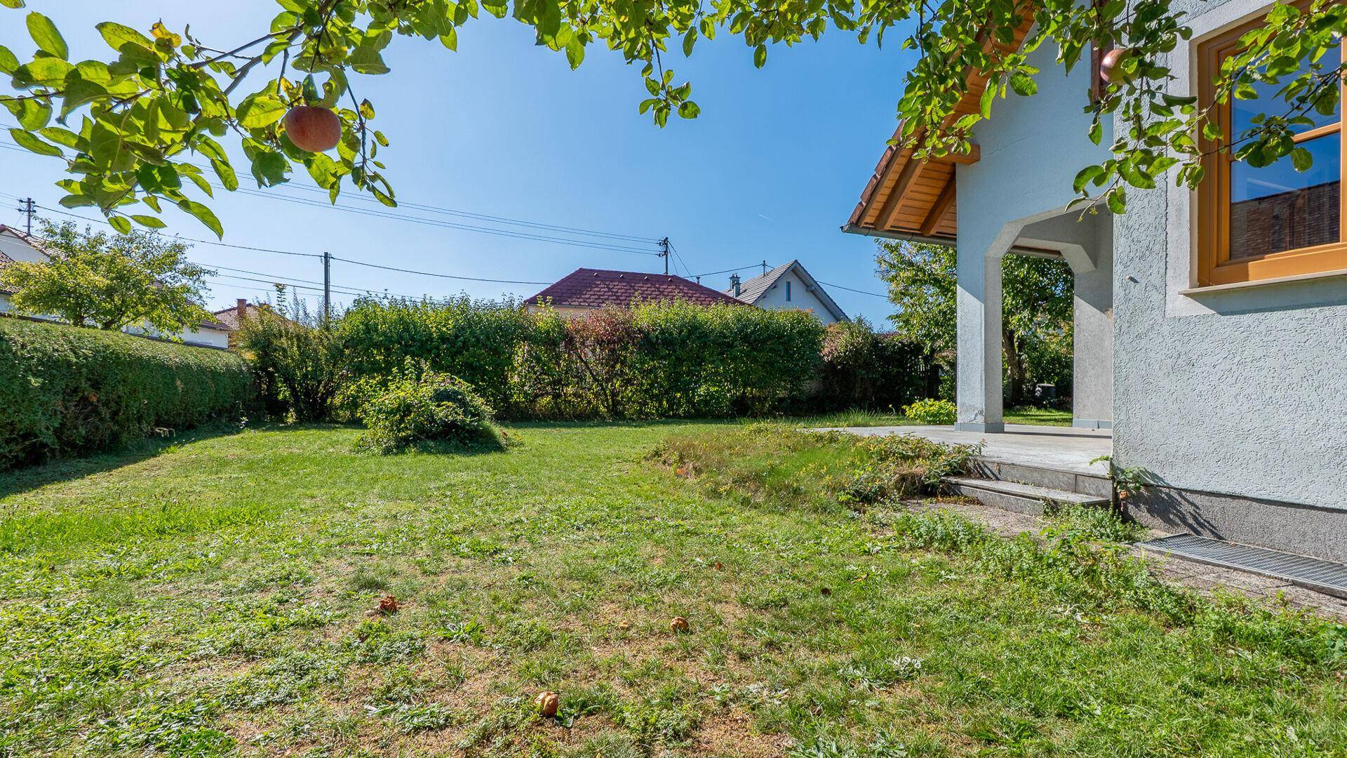 Grüner Gartenbereich mit Rasenfläche, Hecke und Obstbäumen, ideal für Entspannung im Freien.