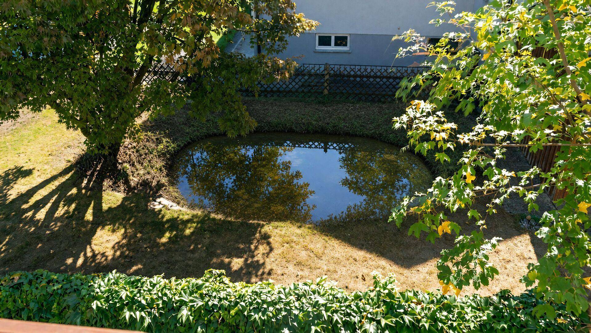 Garten mit Teich