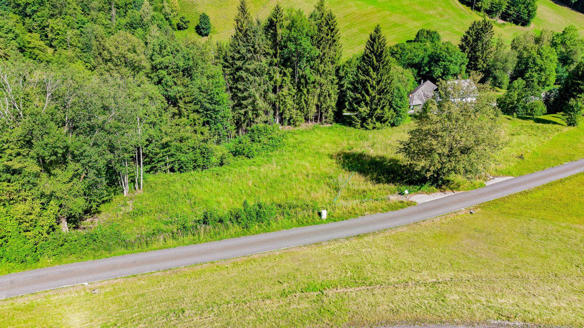 Panoramablick auf ein sonniges Grundstück mit angrenzendem Wald und einer Landstraße.