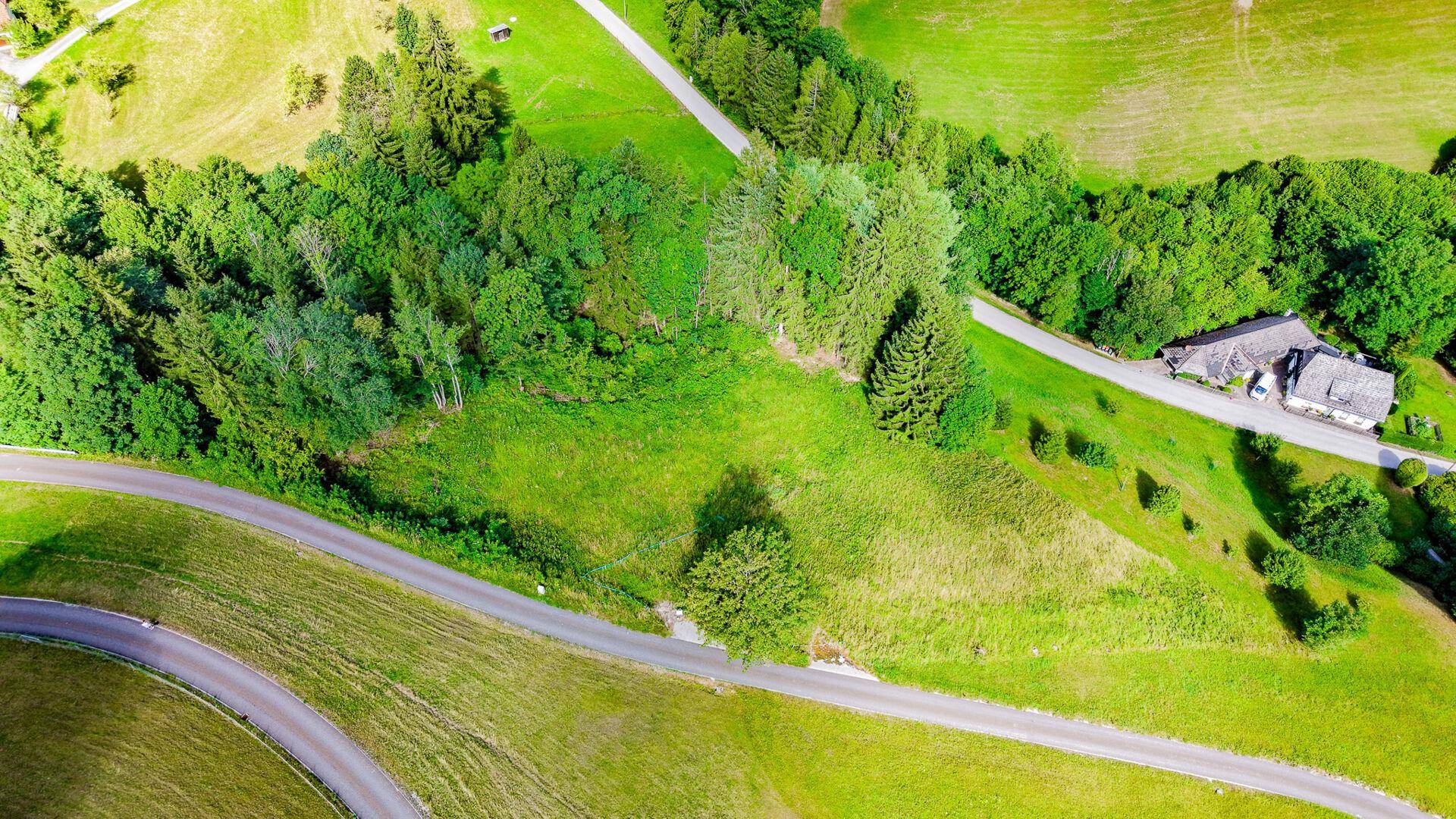 Übersicht über ein grünes Baugrundstück mit angrenzendem Wald und einer Zufahrtsstraße.