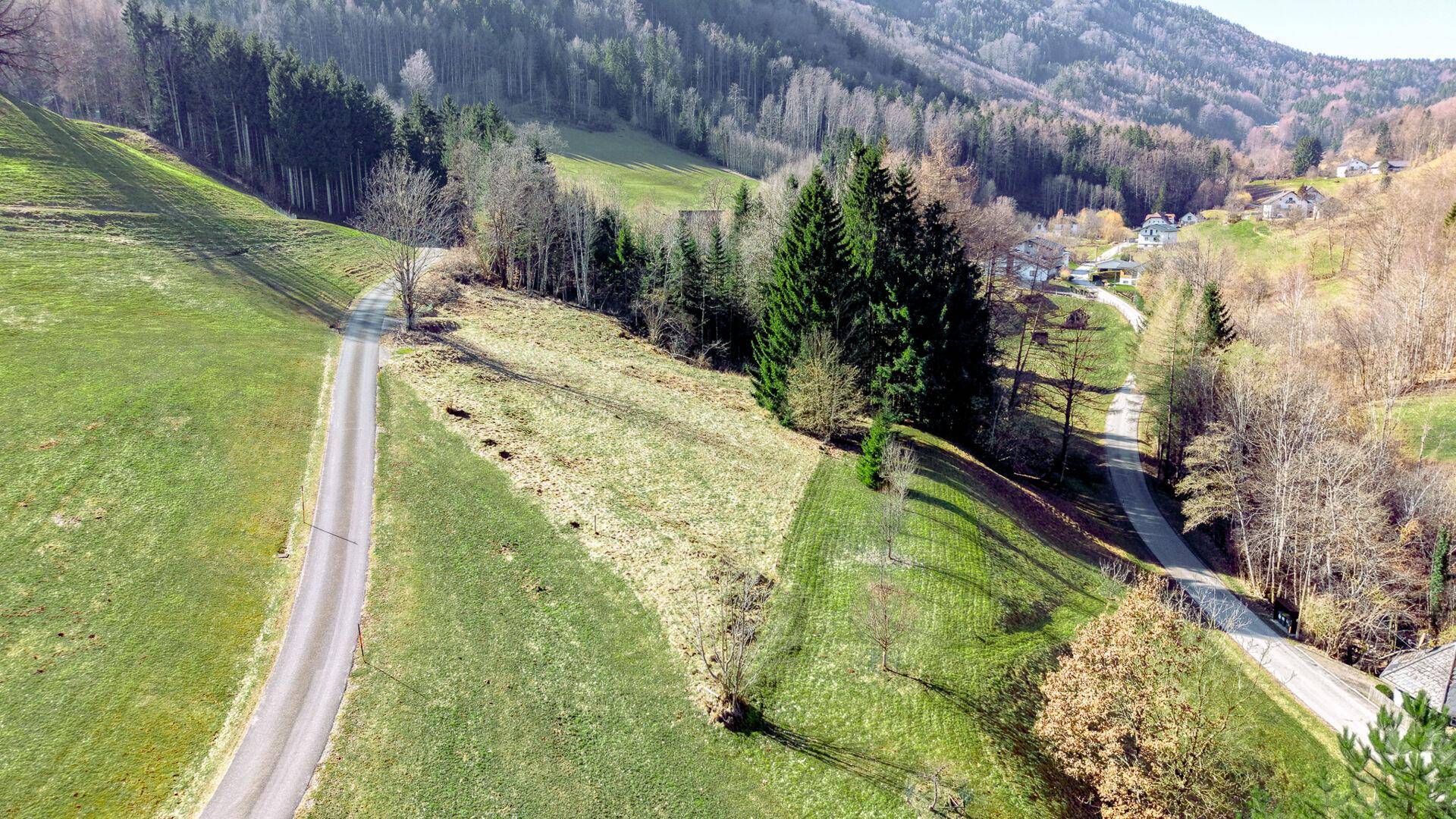 Luftaufnahme einer kurvenreichen Straße, die sich durch grüne Felder und Wälder schlängelt, mit Häusern in der Ferne.