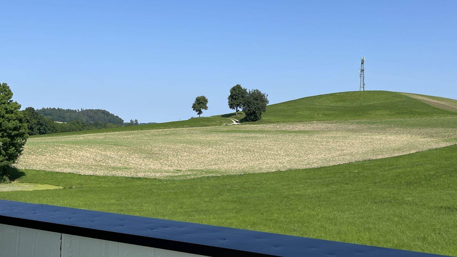 Weitläufiger Blick über grüne Hügel und Felder mit einem Mobilfunkmast in der Ferne.