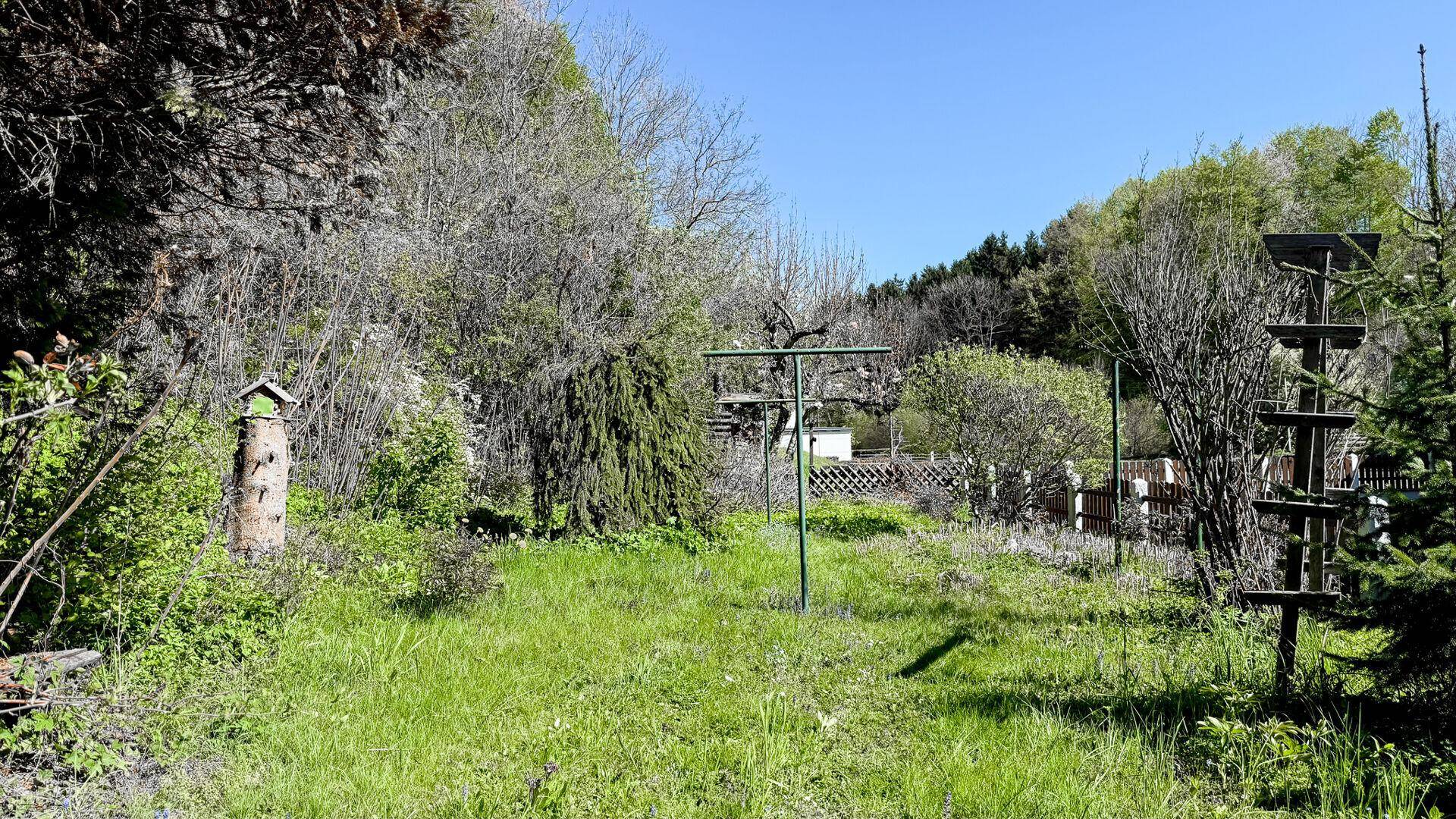Naturbelassener Gartenbereich mit viel Grün und Bäumen, ideal für Erholung im Freien.