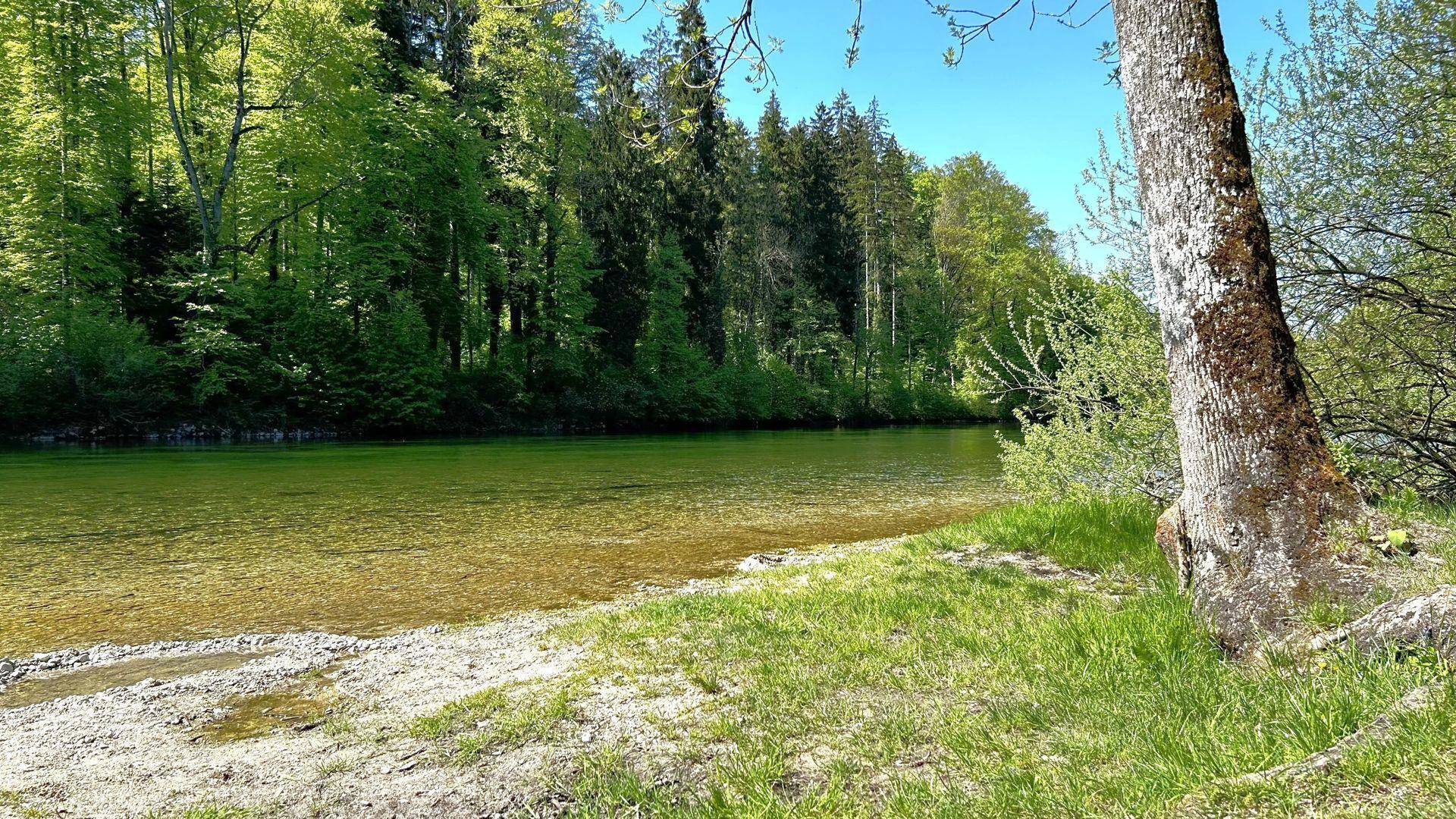 image00003