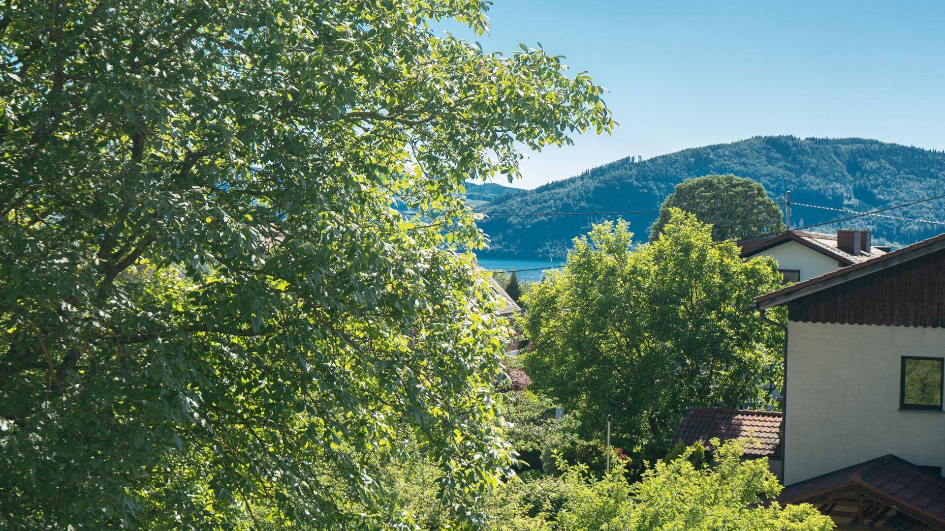 Malerischer Ausblick auf einen See und bewaldete Berge, umgeben von üppigem Grün.