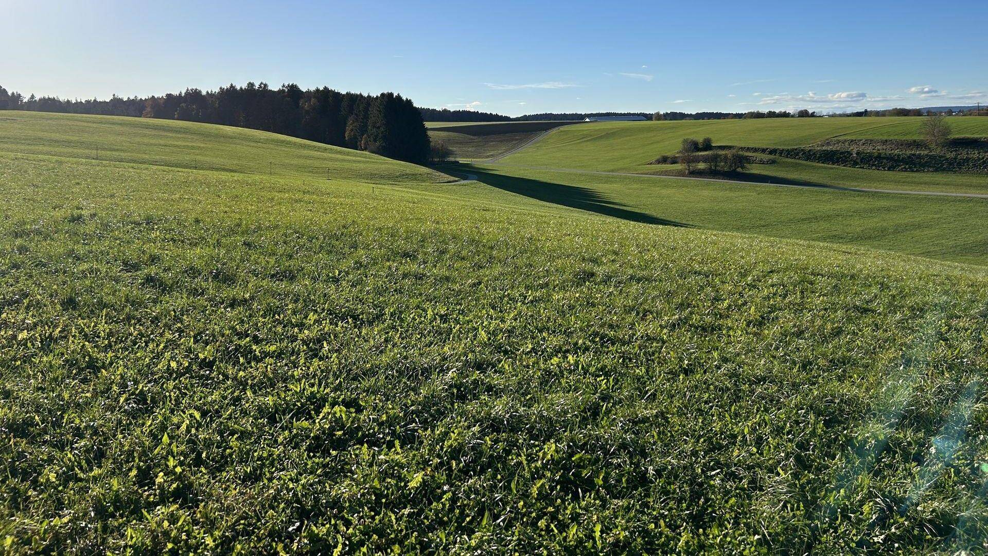 Weitblick