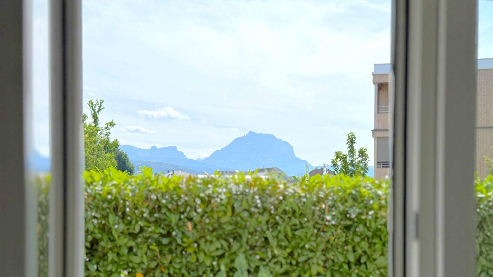 Traunstein-Blick