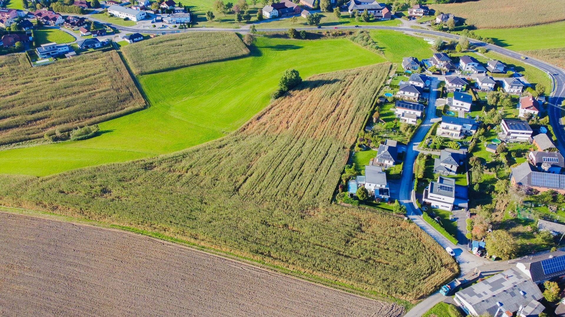 Nahaufnahme aus der Luft zeigt einen Teil des Dorfes und angrenzende landwirtschaftliche Flächen.