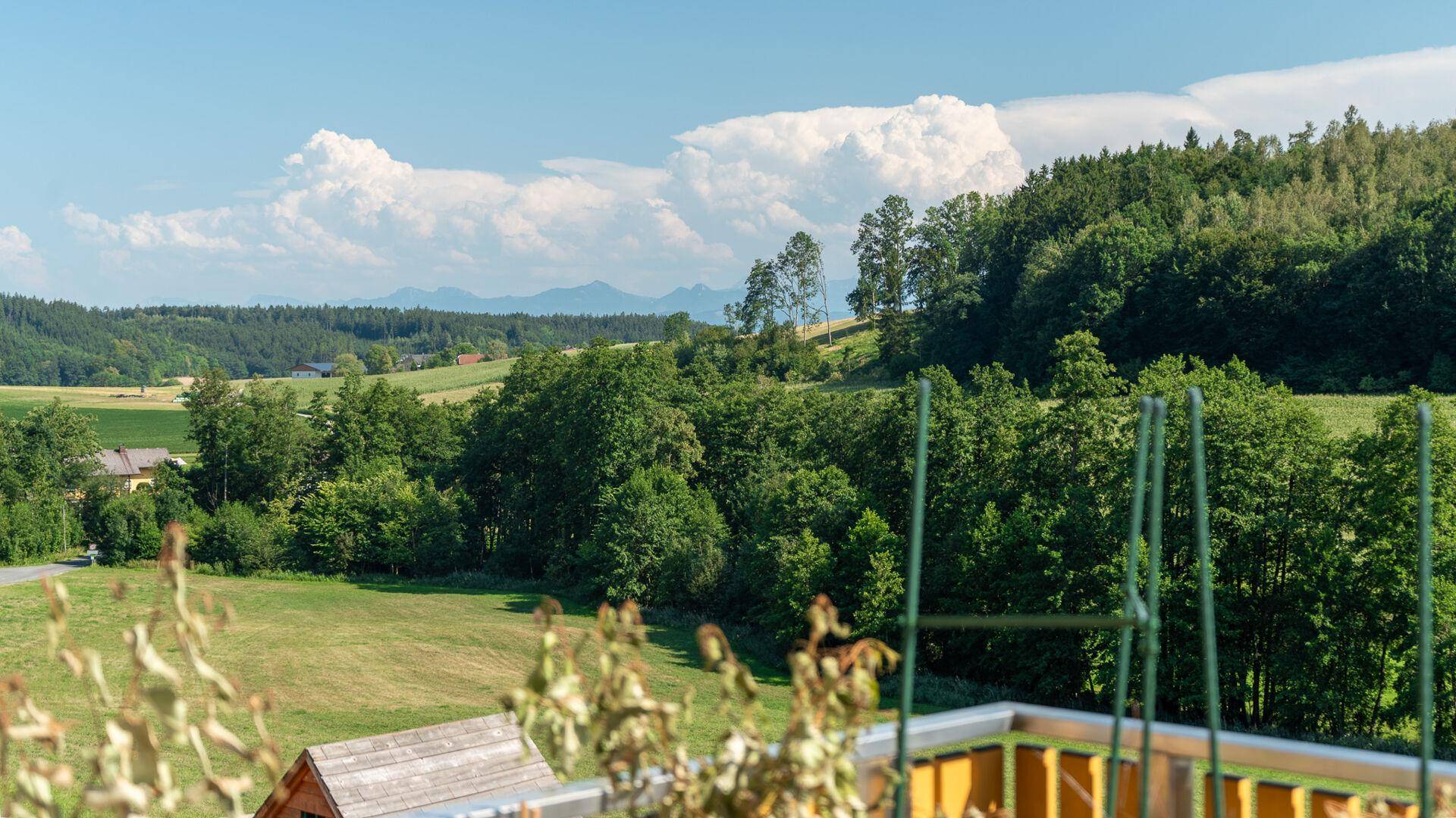 Malerischer Ausblick vom Balkon über grüne Hügel, Wälder und die weite Landschaft.