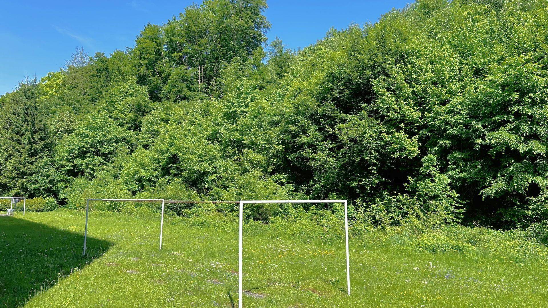 Allgemeiner Gartenbereich