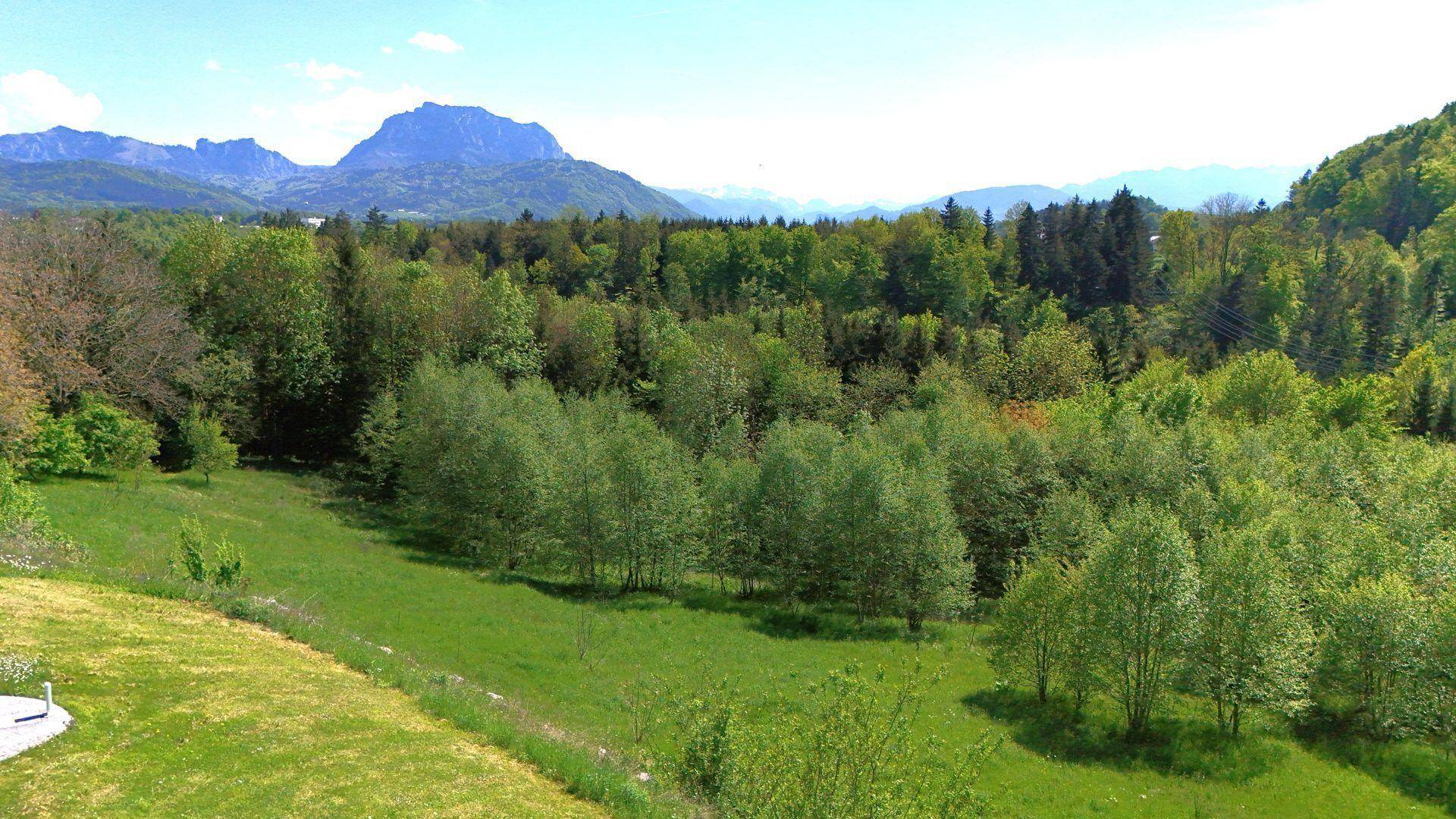 DJI_20250430153507_0055_D