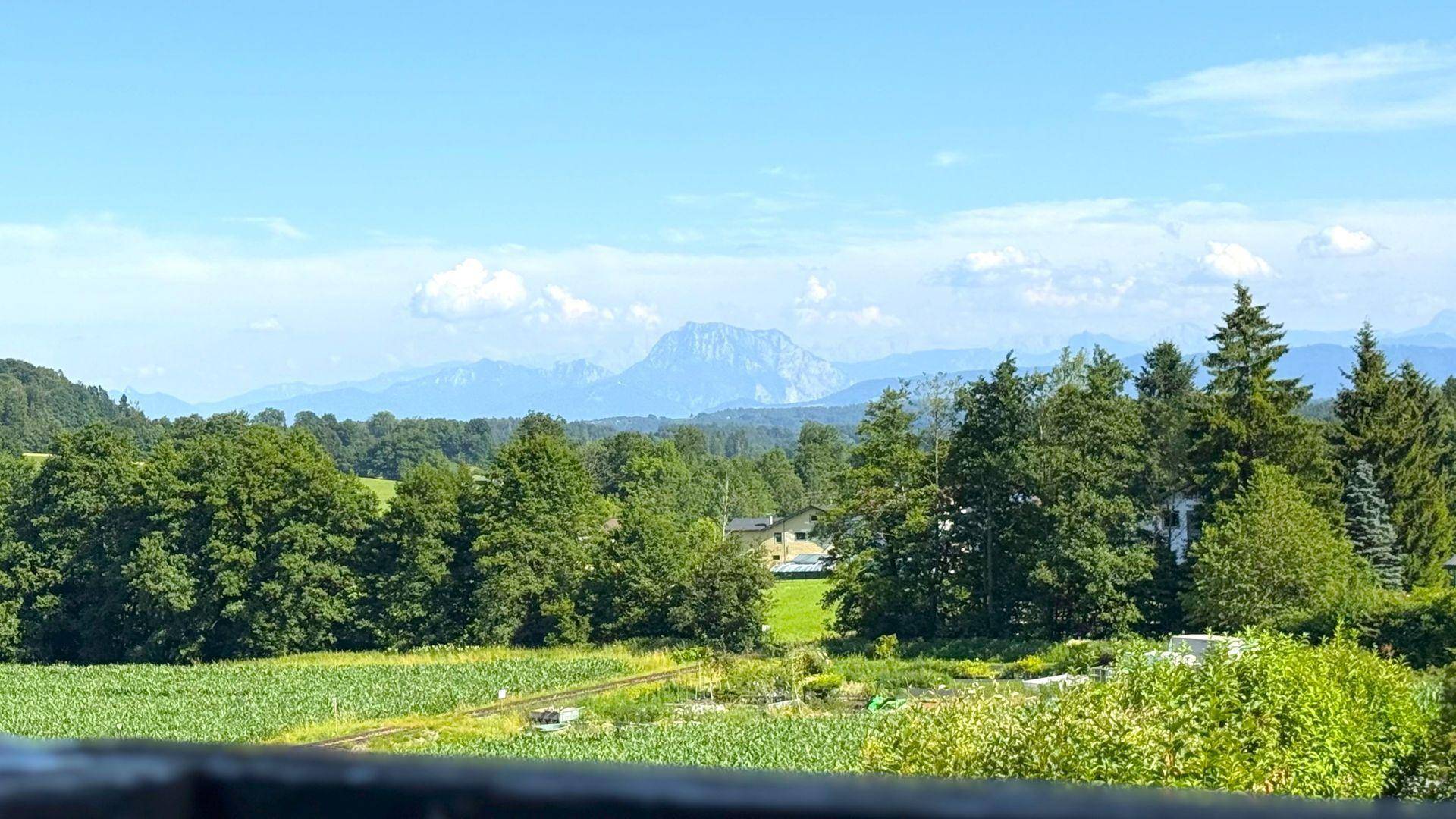 Traunstein-Blick