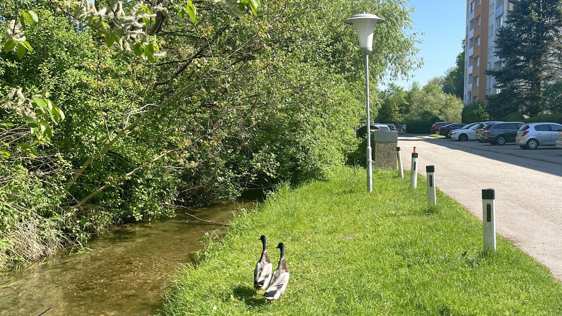 Umgebung
