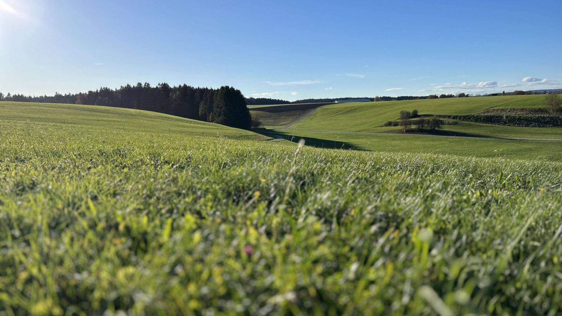 _38655