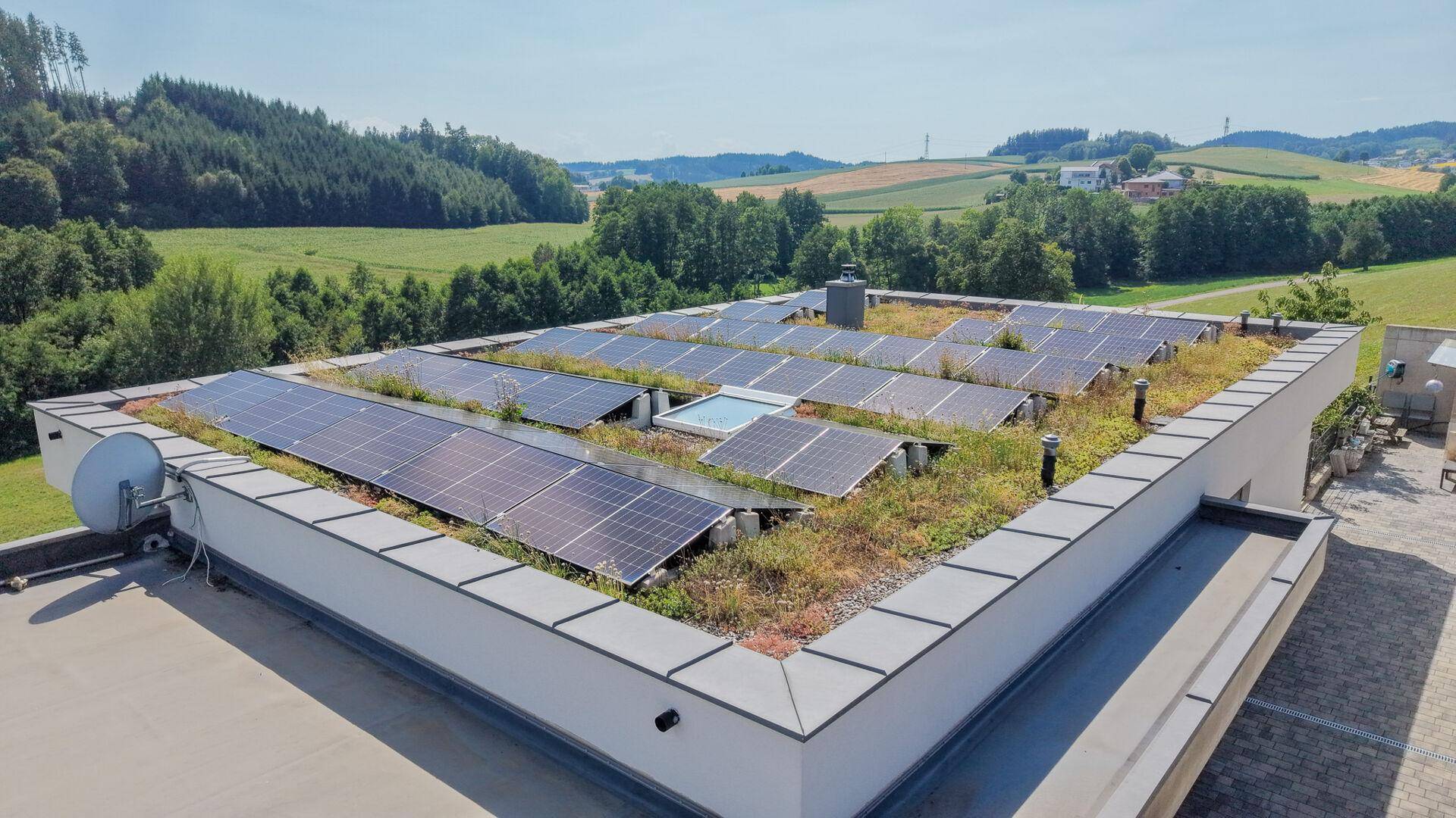 Flachdach des Hauses mit Photovoltaikanlage und Gründach, umgeben von grüner Landschaft.
