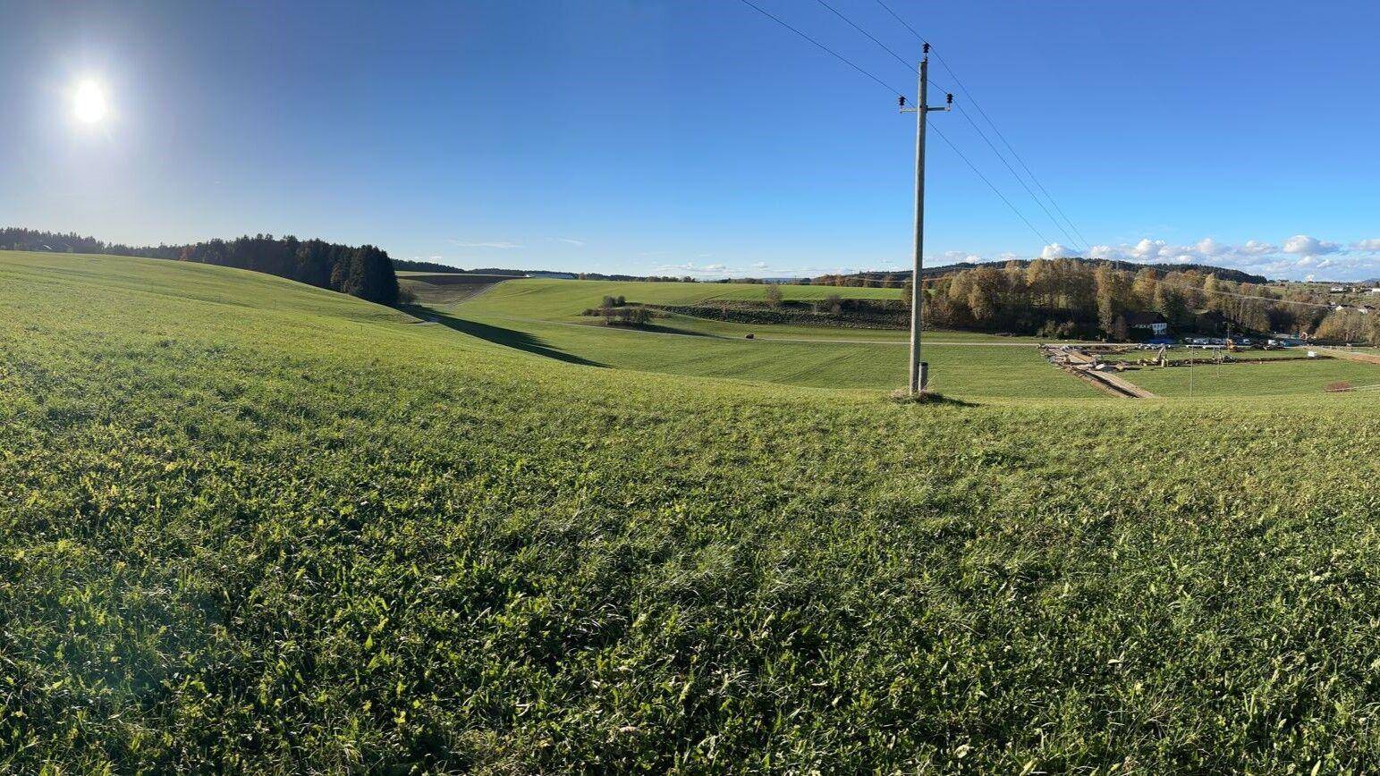 Weitblick