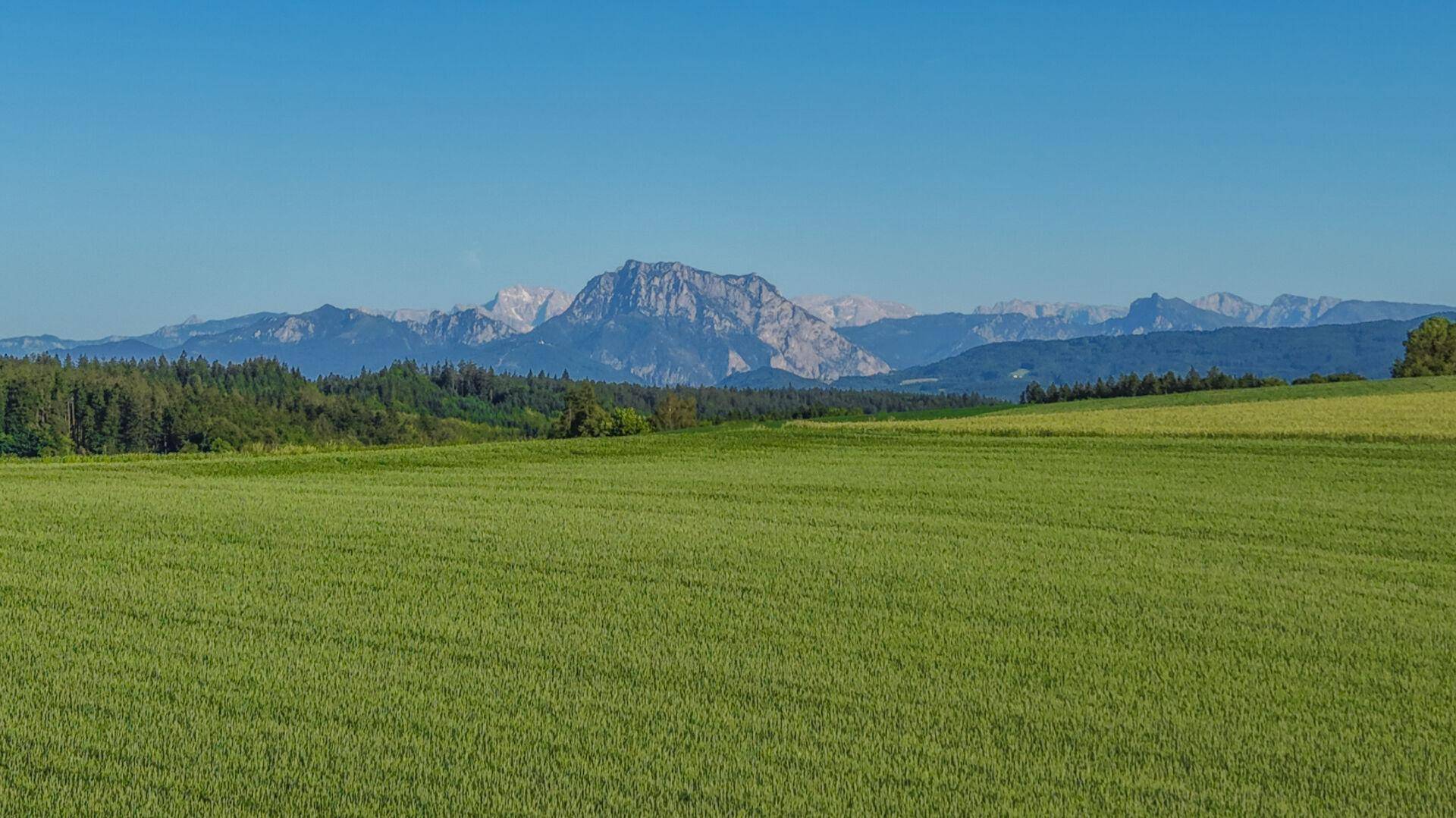 Panoramablick über weite grüne Felder mit majestätischen Bergen im Hintergrund unter blauem Himmel.