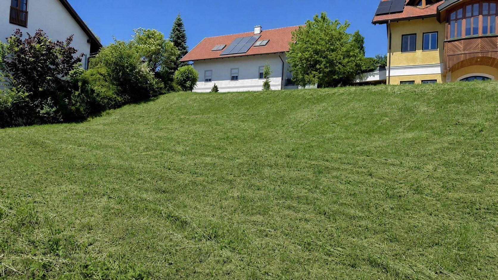 Gepflegte grüne Rasenfläche mit Wohnhäusern im Hintergrund, eines davon mit Solaranlage auf dem Dach.