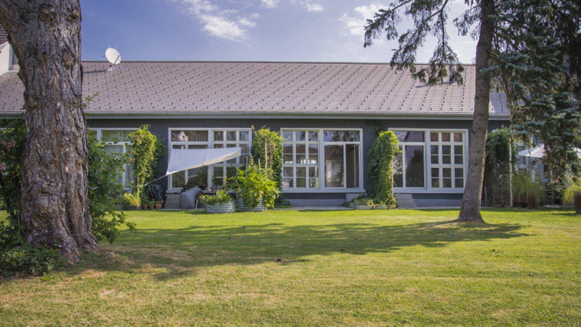 Großer Garten mit Rasenfläche, alten Bäumen und der modernen Hausfassade mit vielen Fenstern.