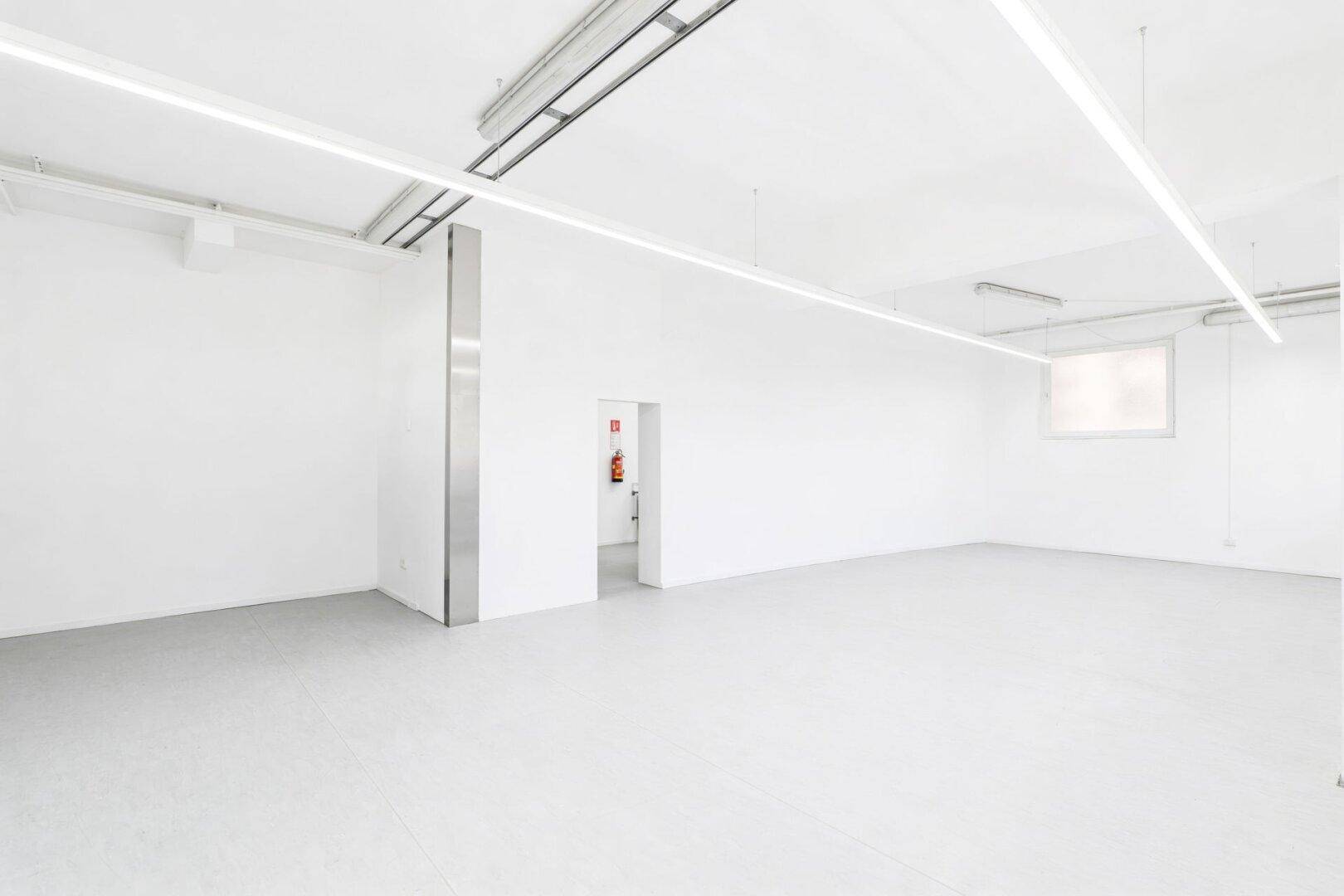 Geräumiger, unmöblierter Raum mit weiß gestrichenen Wänden und Decken, ausgestattet mit modernen Lichtleisten.