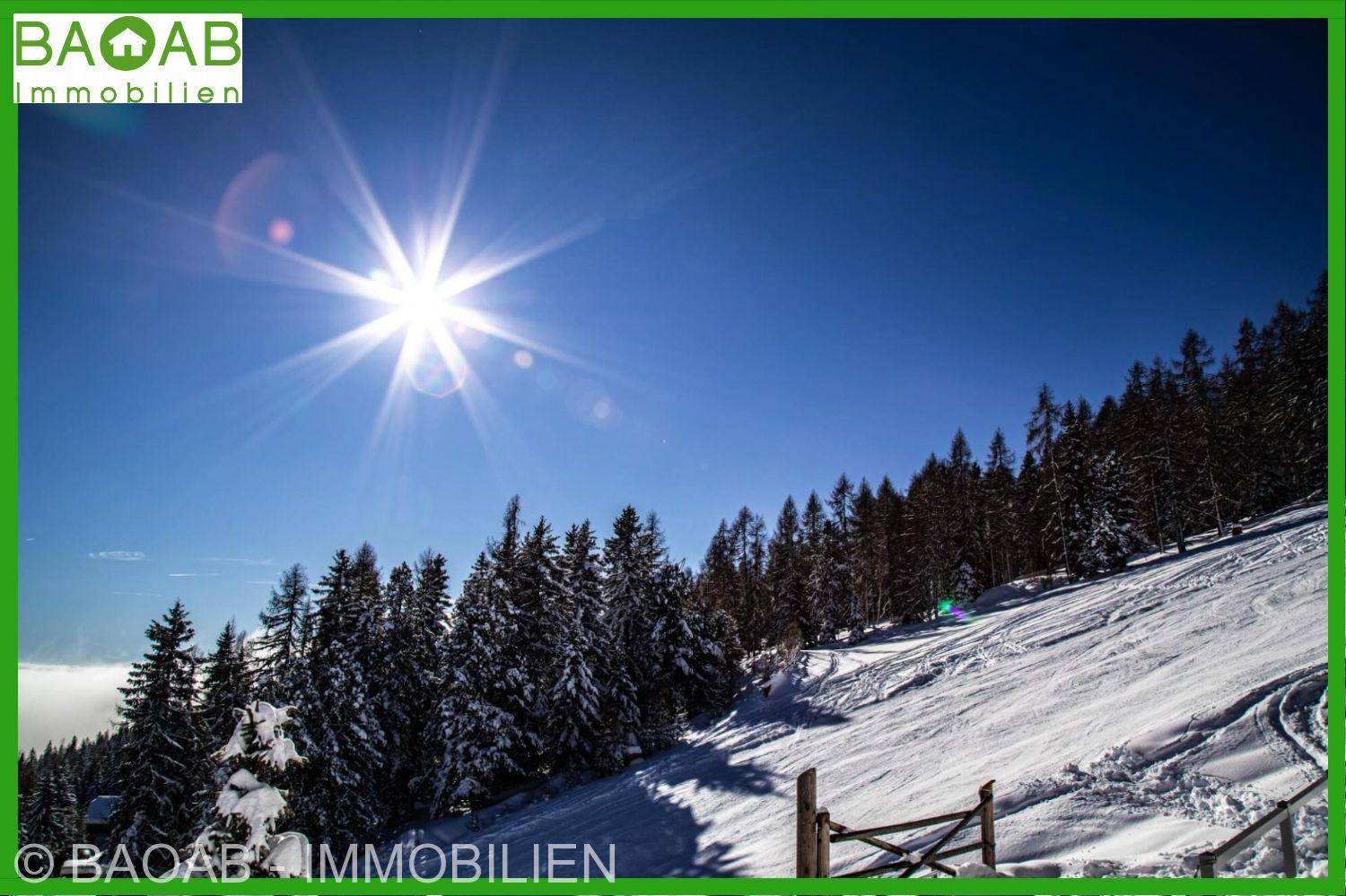 Strahlender Wintertag mit sonnenbeschienenen Skipisten und schneebedeckten Tannenbäumen.