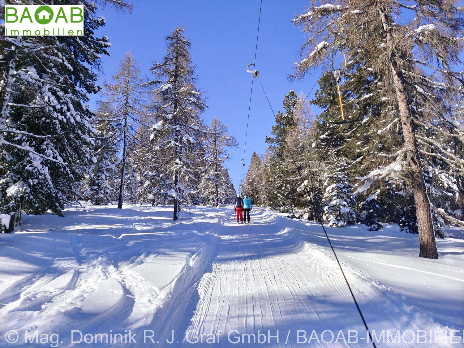Verschneiter Winterwanderweg durch einen dichten Wald mit hohen Bäumen unter blauem Himmel.