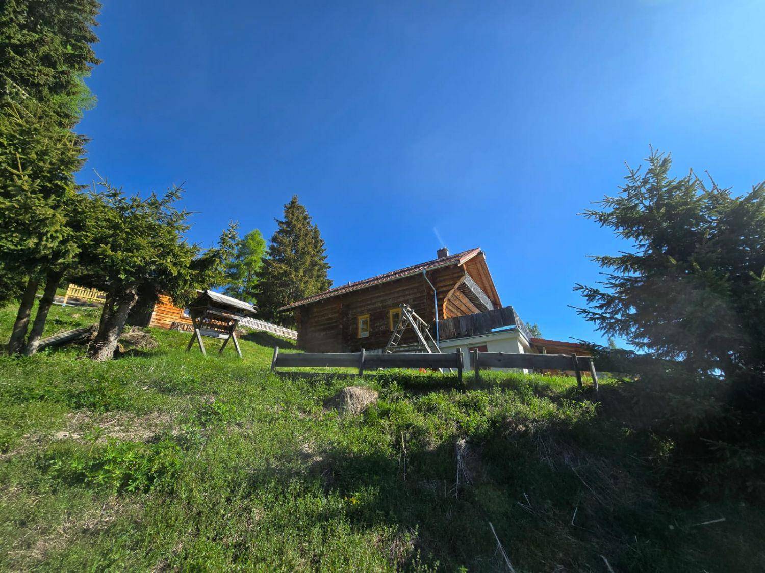 Rustikales Holzhaus in alpiner Umgebung mit grünen Wiesen und hohen Bäumen.