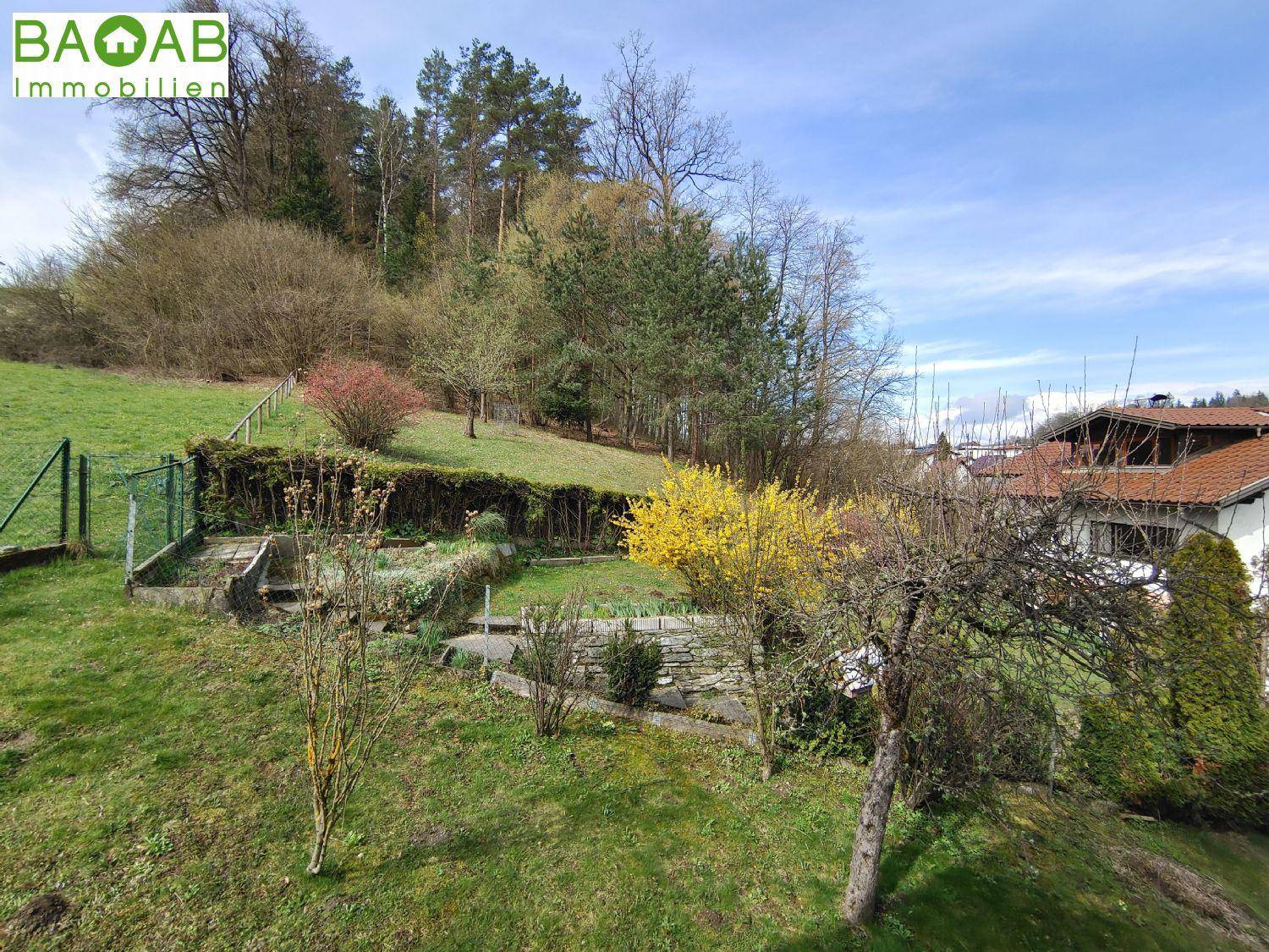 Großer, naturbelassener Gartenbereich mit Bäumen, Sträuchern und einem Hang im Hintergrund.