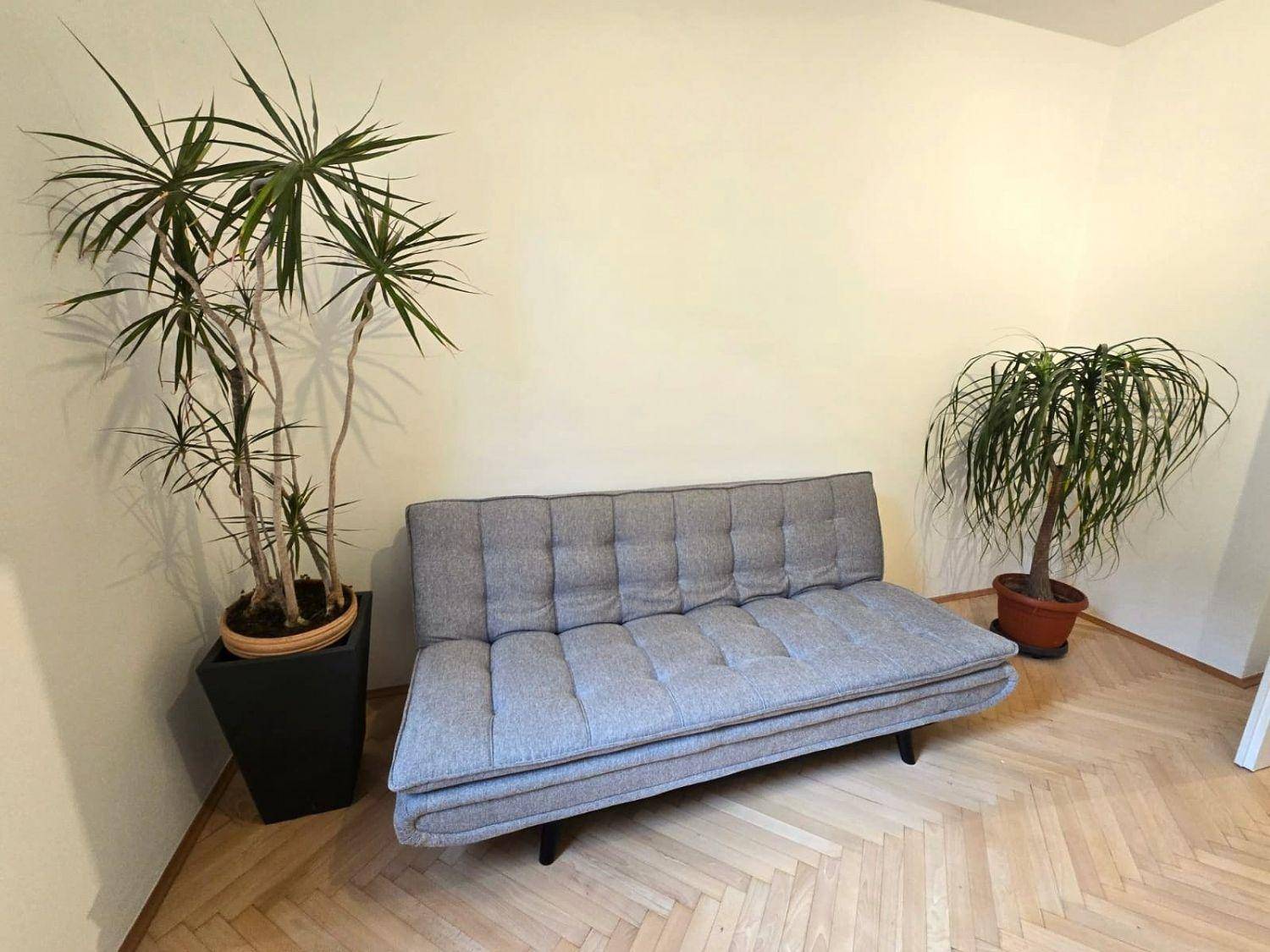 Heller Raum mit grauem Schlafsofa, zwei Zimmerpflanzen und Fischgrätparkettboden.