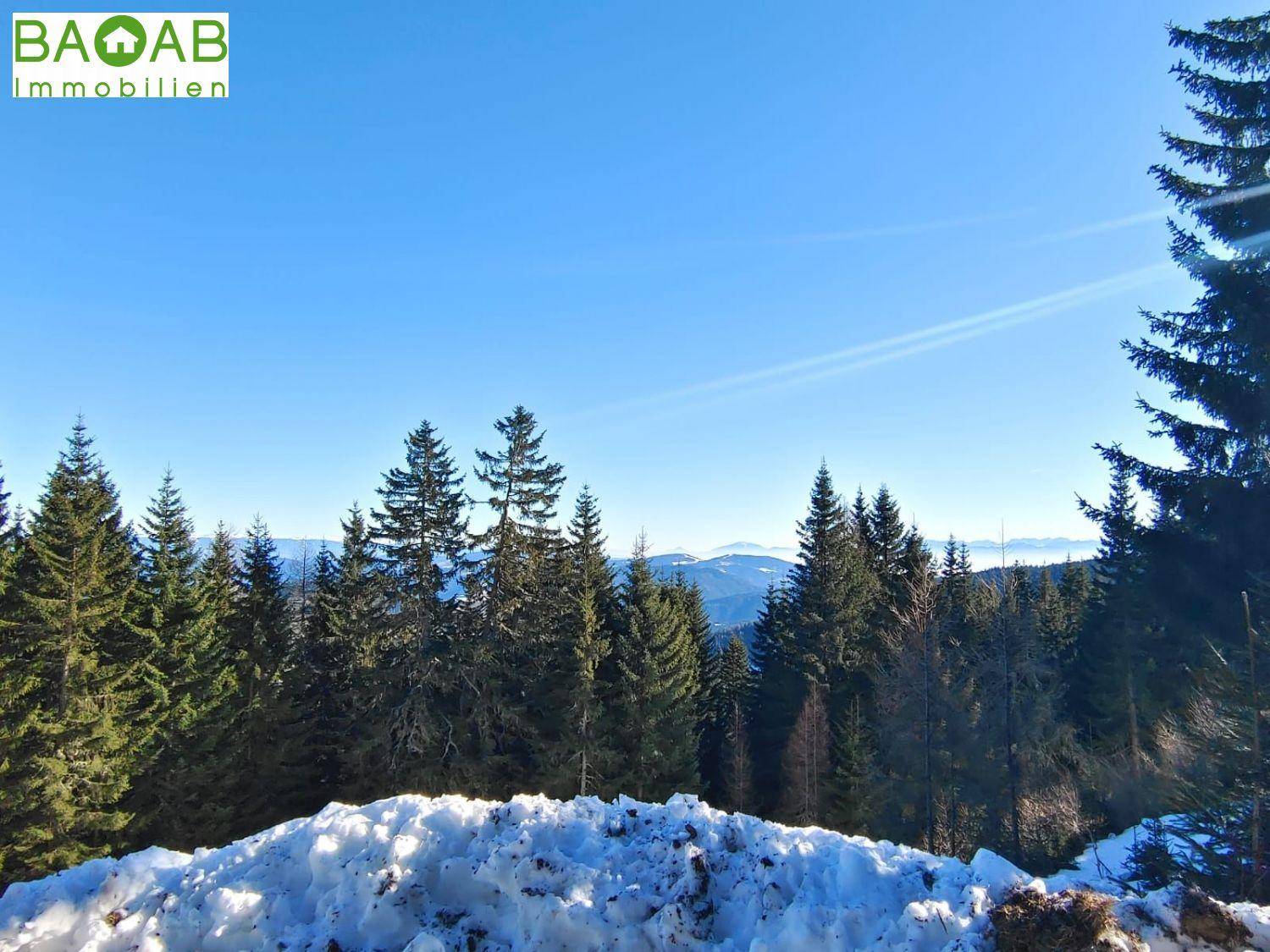 Winterliche Berglandschaft mit verschneiten Bäumen und weitem Blick in die Ferne.
