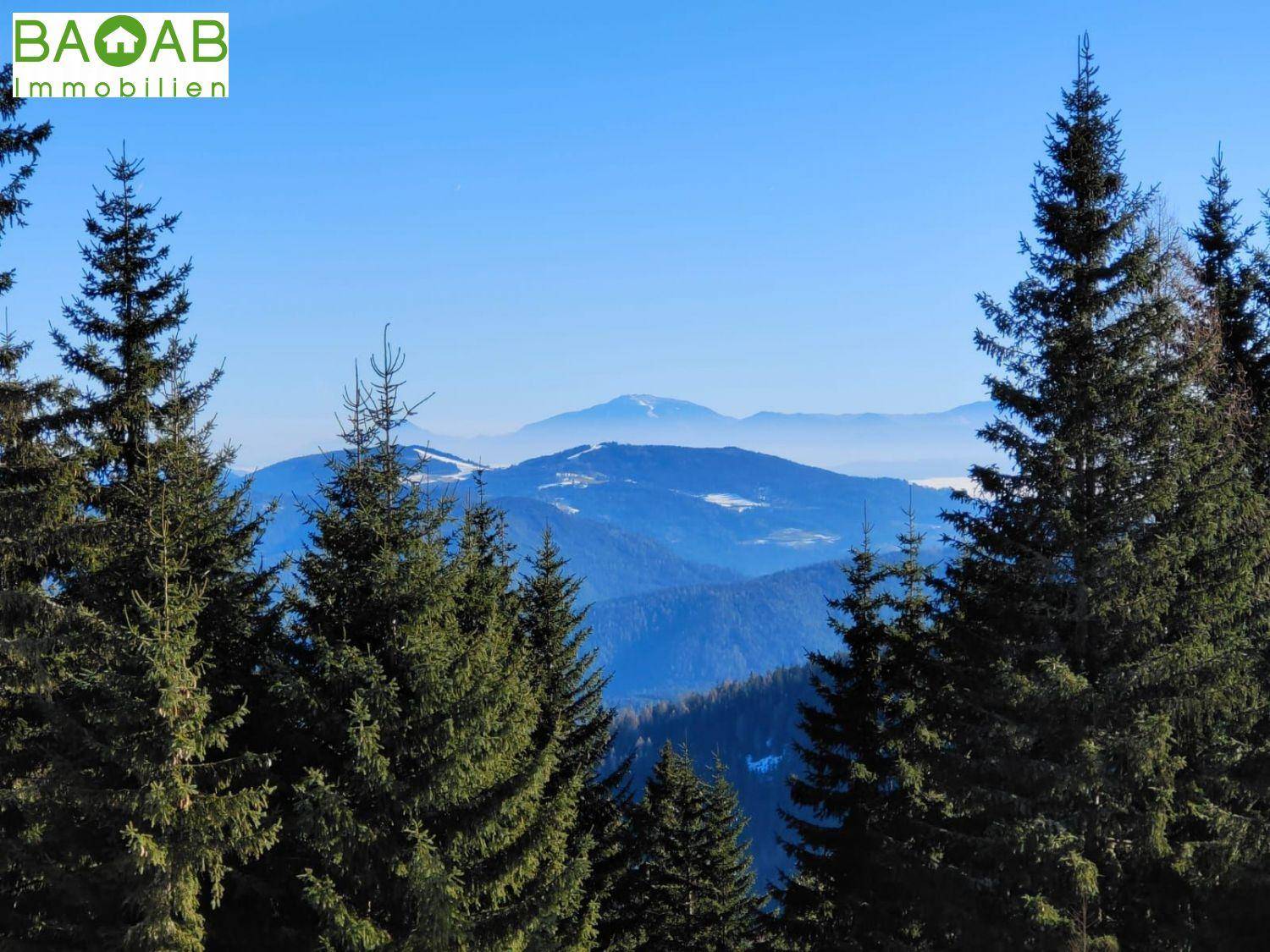Klarer Blick auf die majestätischen Berge, umrahmt von hohen Nadelbäumen und blauem Himmel.