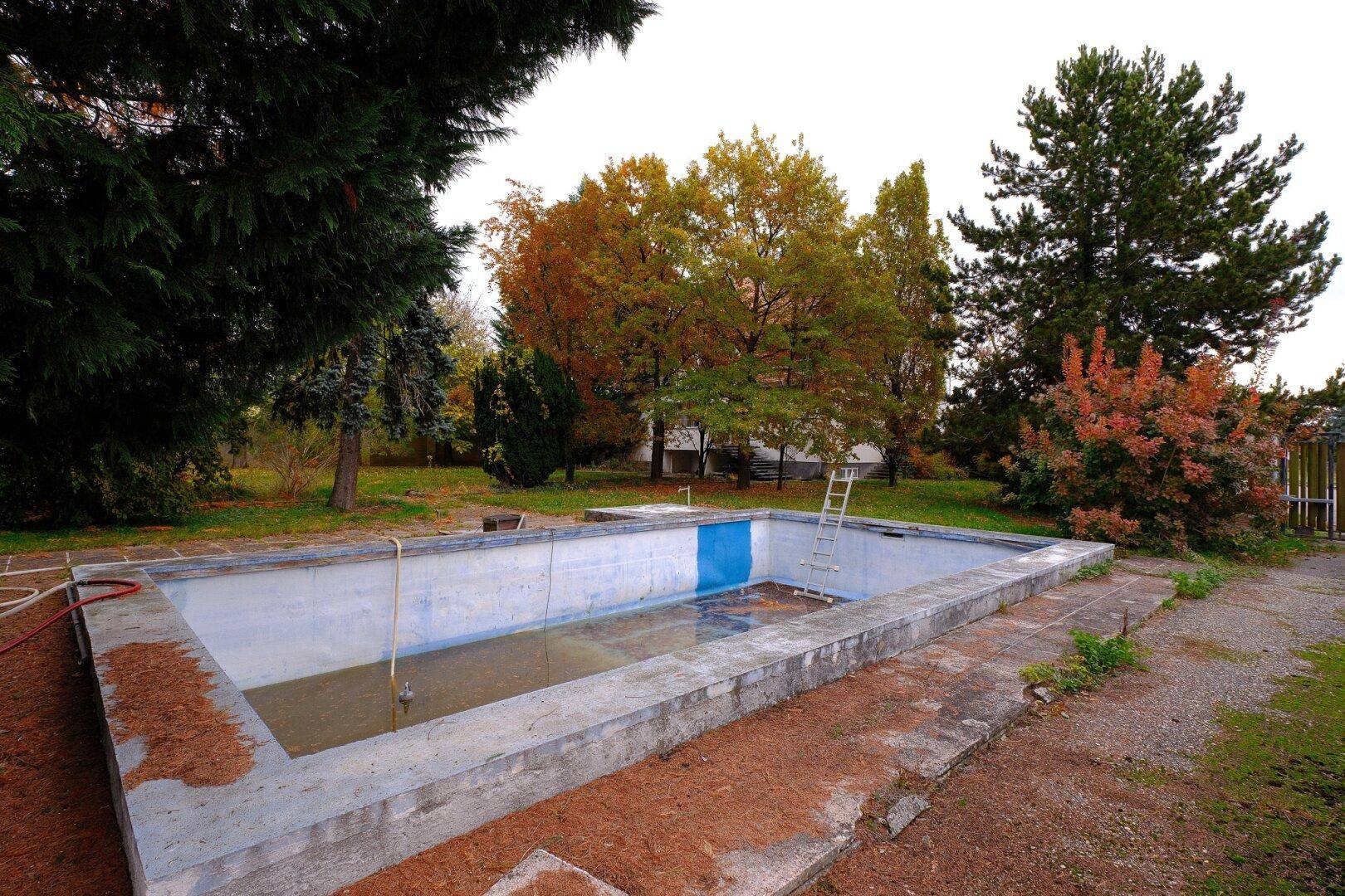 Leeres, teilweise mit Wasser gefülltes Schwimmbecken im Garten, umgeben von Bäumen.