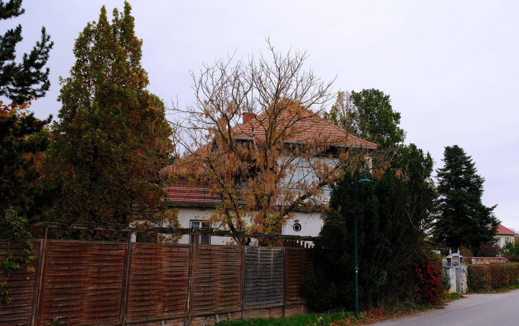 Ihr Traumhaus in Hausleiten: 285 m², 2 Terrassen, 3 Garagen – gestalten Sie es nach Ihrem Stil! – pohled 6