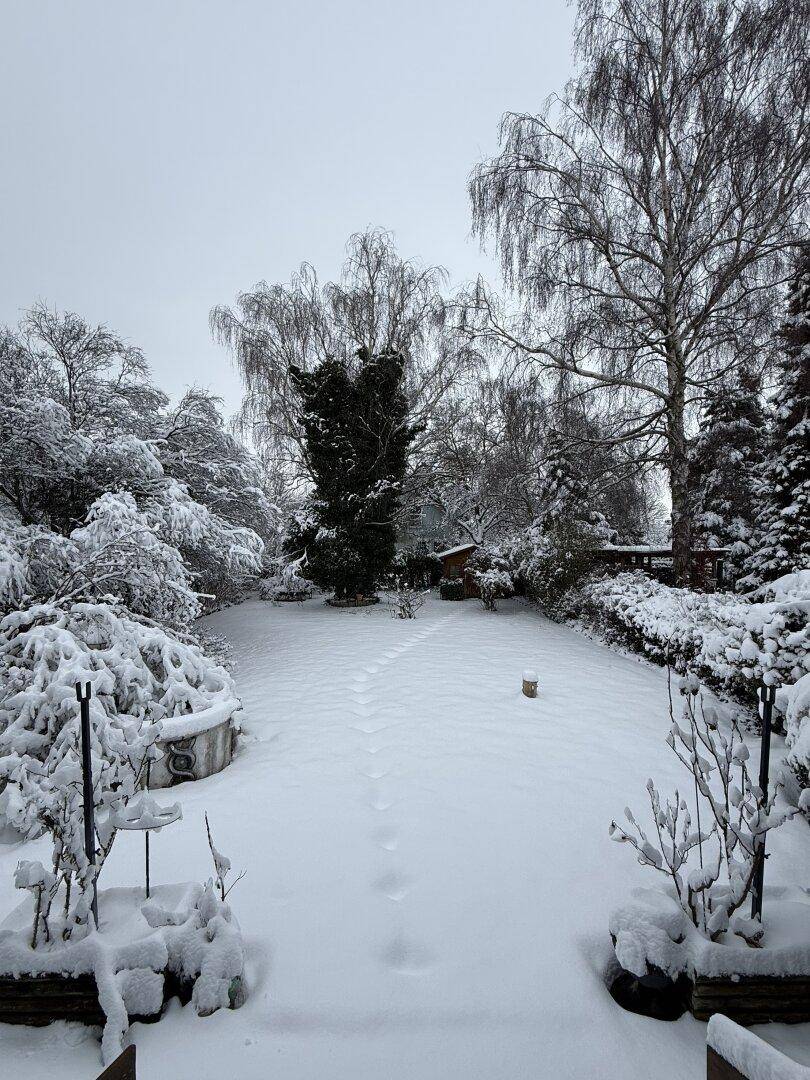 Weitläufiger Garten im Winter mit tiefem Schnee und Spuren im Rasen.
