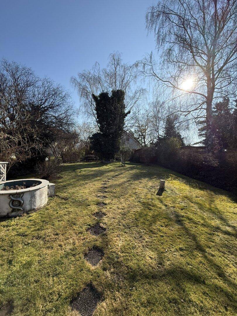 Weitläufiger Garten mit Rasenfläche, Bäumen und einem geschwungenen Pfad unter strahlendem Sonnenschein.