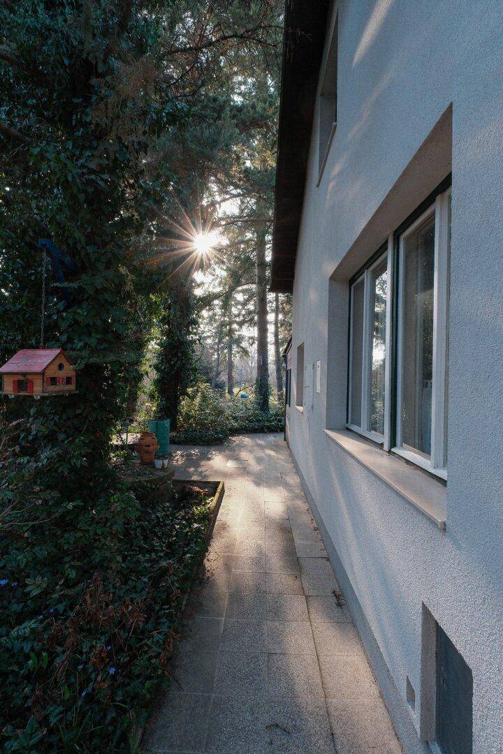 Seitlicher Zugang zum Haus mit gepflastertem Weg, umgeben von Bäumen und Sträuchern im Sonnenlicht.