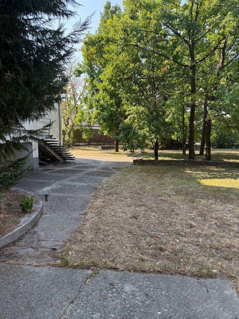 Gartenbereich mit Betonwegen, trockenem Rasen und altem Baumbestand neben dem Gebäude.