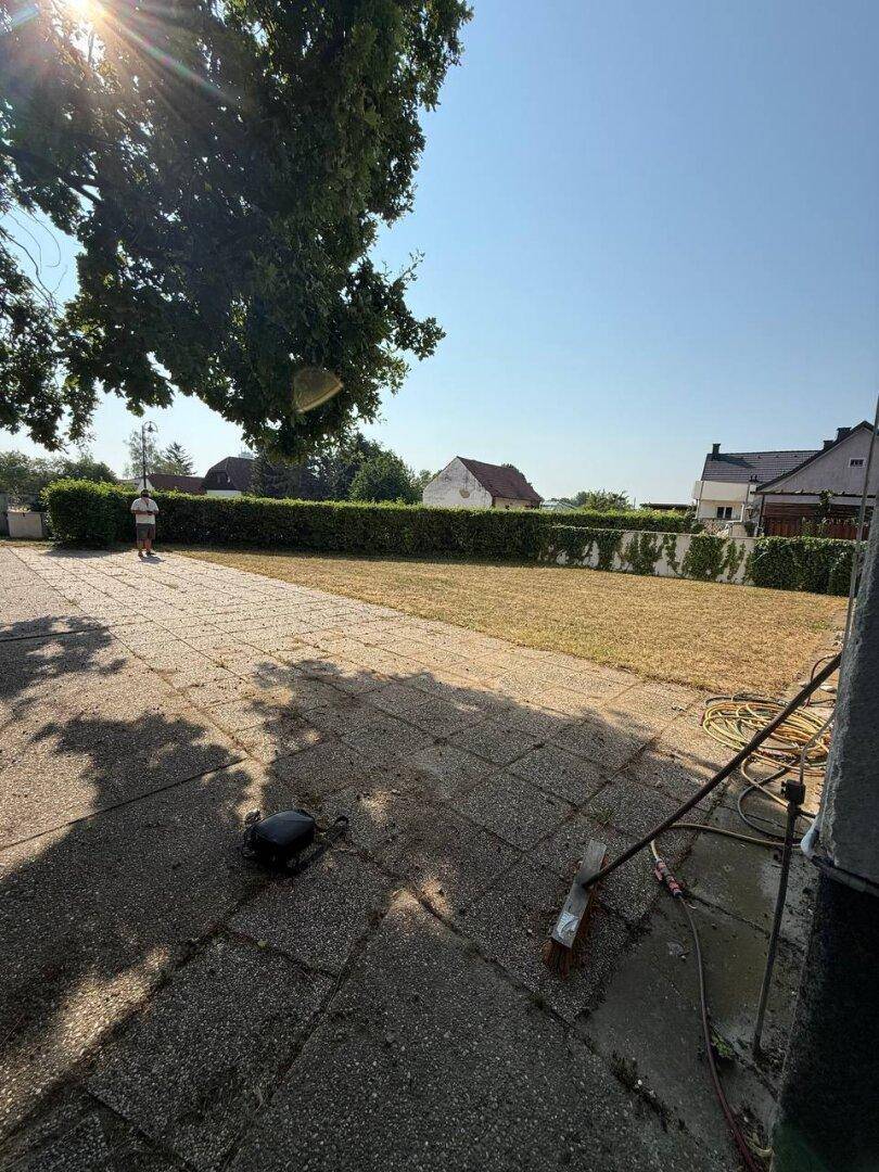 Gepflasterte Terrasse neben einem trockenen Rasenbereich mit Hecke im Hintergrund.