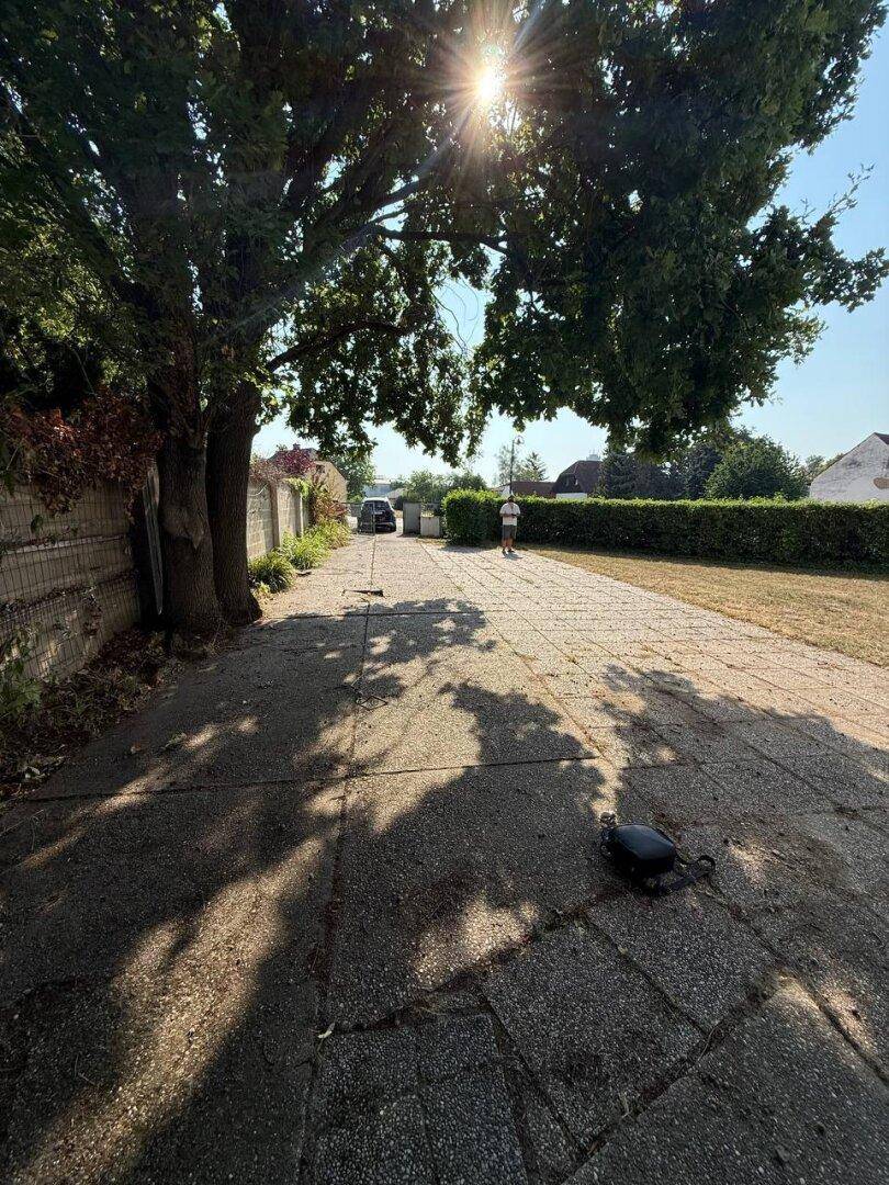 Gepflasterte Zufahrt oder Weg, gesäumt von großen Bäumen, mit einem Fahrzeug in der Ferne.