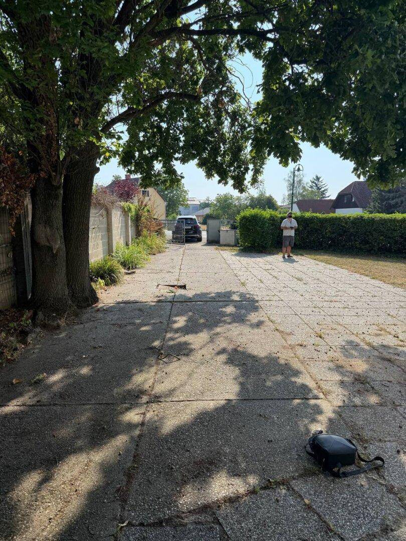 Gepflasterter Weg mit Schatten von Bäumen und einem Auto in der Ferne.