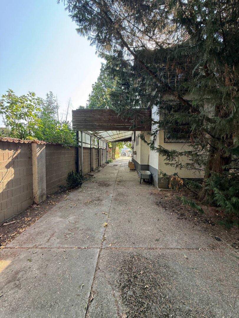 Gepflasterter Weg mit Überdachung und hohen Bäumen im Hintergrund.
