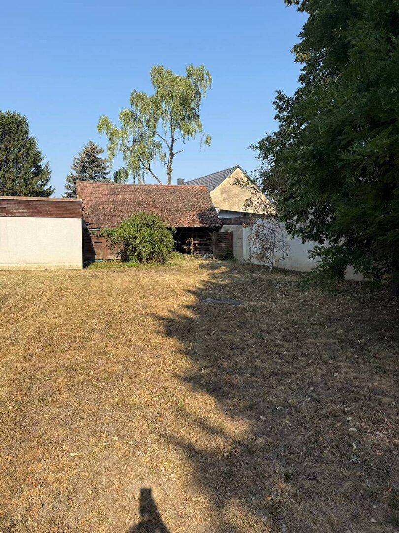Gartenbereich mit trockenem Rasen, einem rustikalen Nebengebäude und Bäumen.