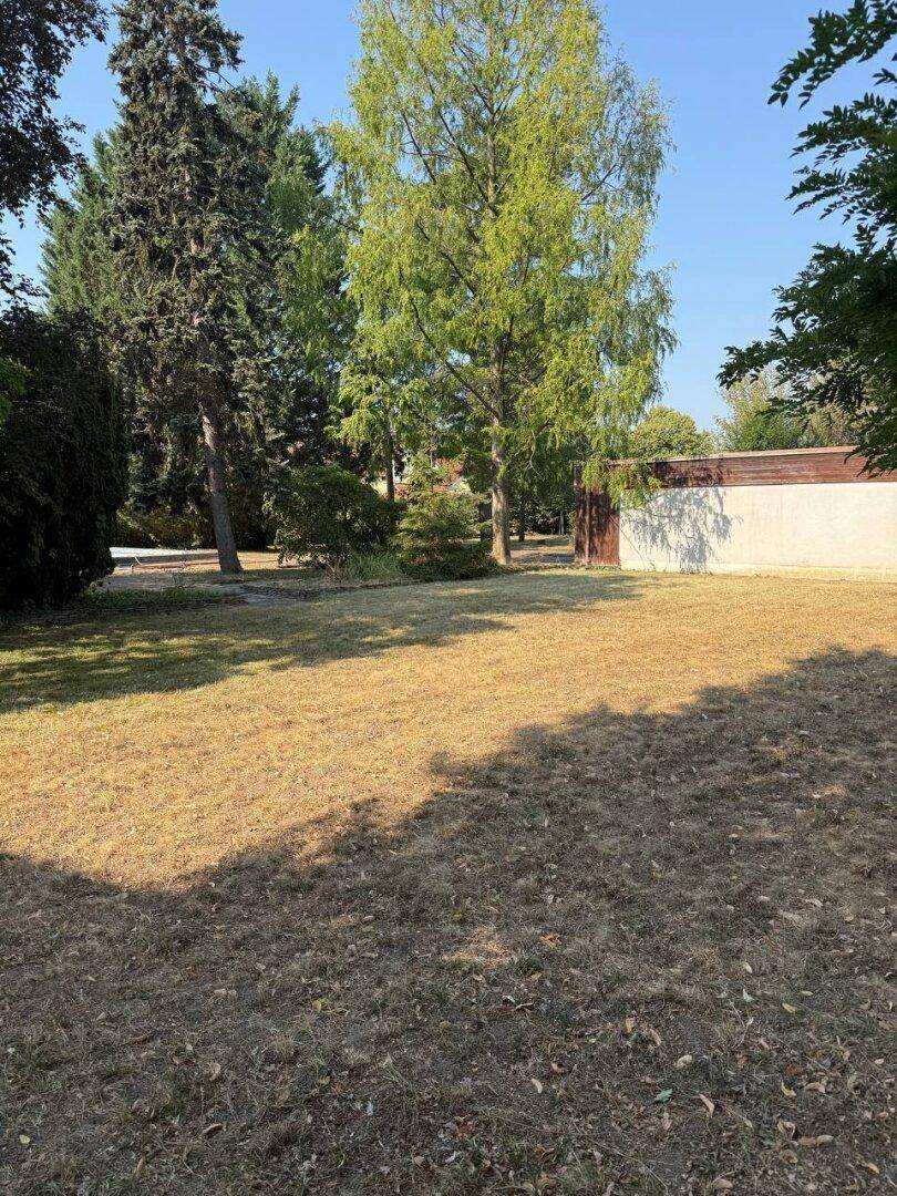 Gartenlandschaft mit trockenem Rasen, hohen Bäumen und einem Nebengebäude.