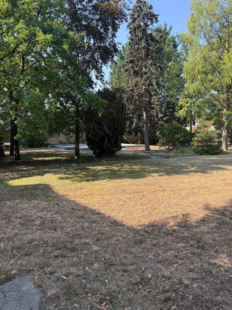 Großer Gartenbereich mit trockenem Rasen und einer Gruppe von Bäumen.