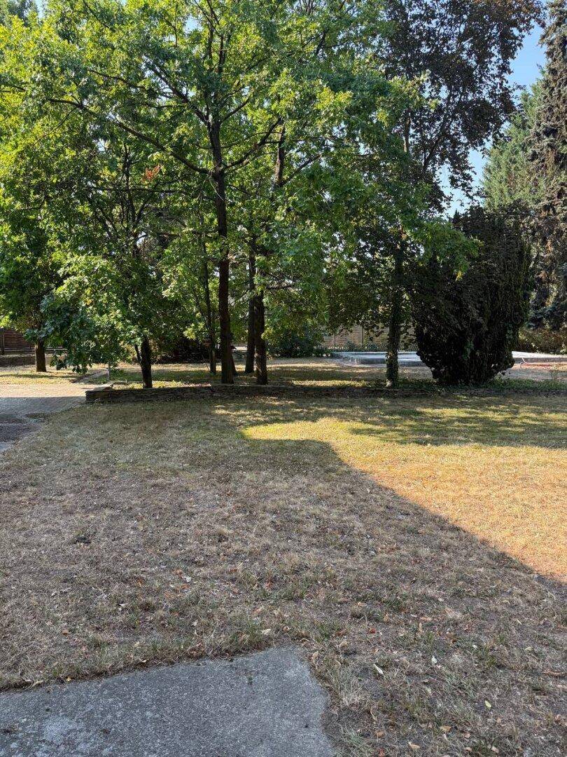 Weitläufiger Garten mit trockenem Rasen und schattenspendenden Bäumen.