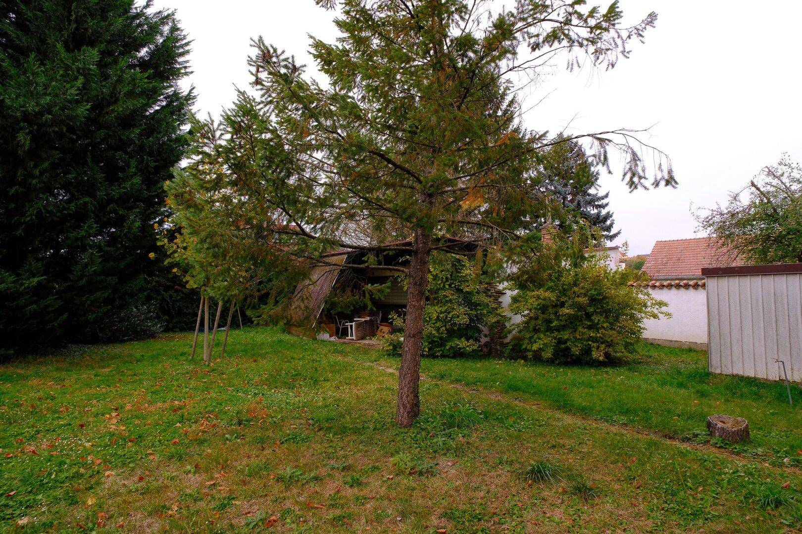 Gartenbereich mit einem kleinen Schuppen und altem Baumbestand, ideal für Entspannung.