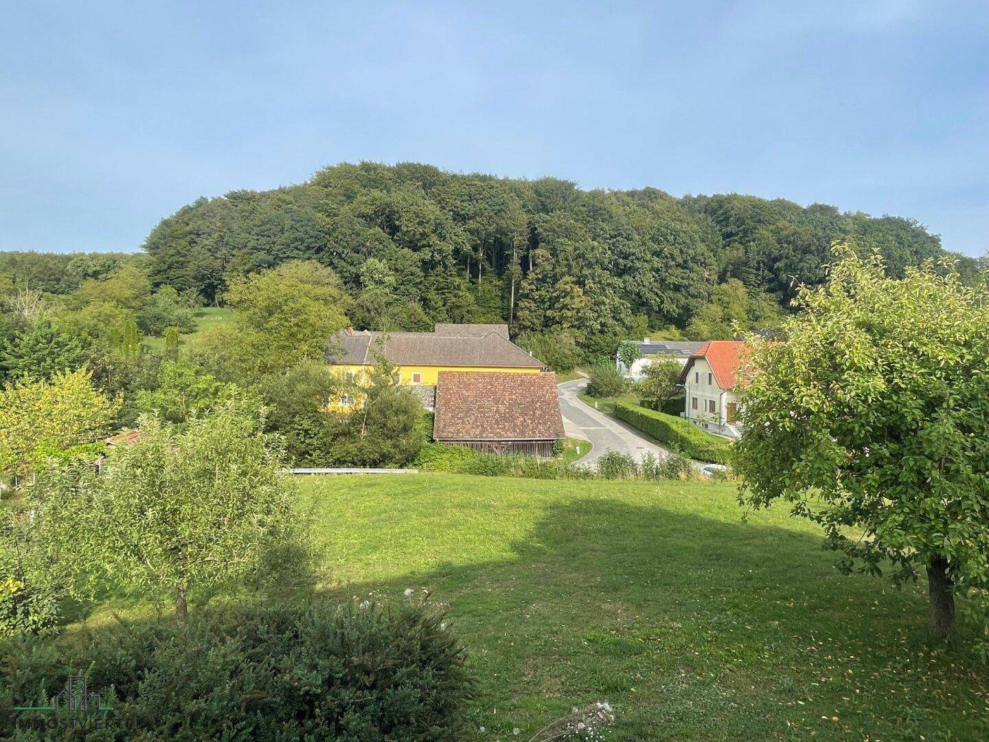 Ausblick vom Balkon